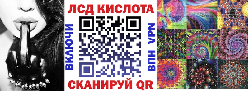 Марки N-bome 1500мкг  где купить   Петрозаводск 
