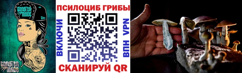 Галлюциногенные грибы мицелий  МЕГА зеркало  Петрозаводск 